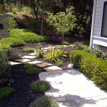 Deer Resistant Gardens