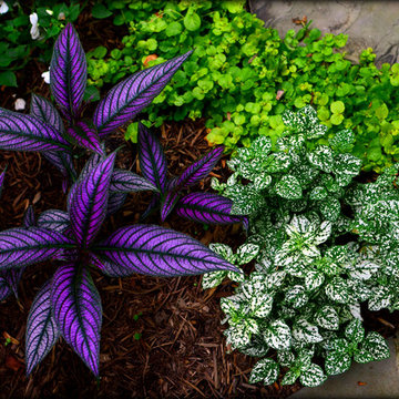Landscaping Highlights