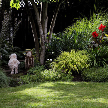 Portland, Oregon Tropical Garden