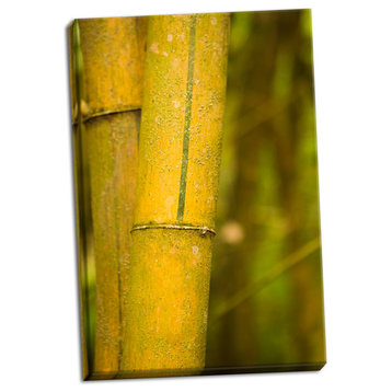 Fine Art Photograph, Bamboo I, Hand-Stretched Canvas