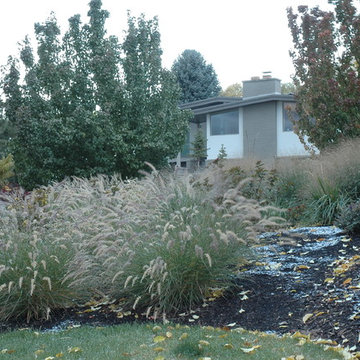 Above the Capitol Traditional Style Water Wise Yard