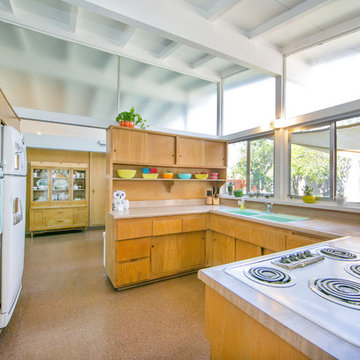 Anaheim Mid-Century Modern in Full Color