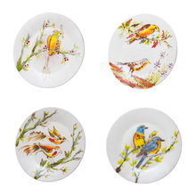 Misc decor items