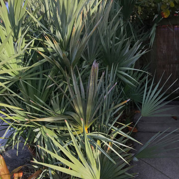 Balinese Eclectic Garden