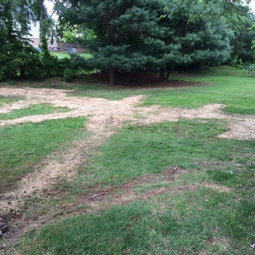 Drainage Wet Backyard - Middletown