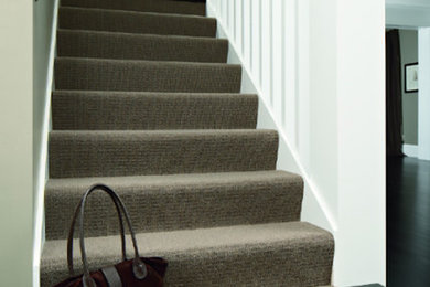 Mid-sized traditional carpeted straight staircase in Detroit with carpet risers and wood railing.