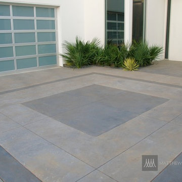 Modern Sabal Palm Massing - Plant Design
