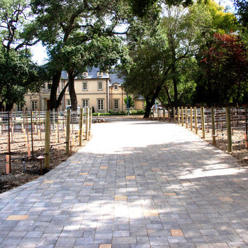 Residiential private vineyards designed, constructed, installed and managed
