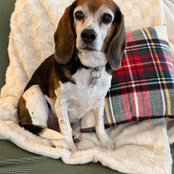 Caitlin Serotkin's photo