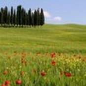 Elizabeth Slager's photo