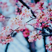 I's photo