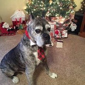 Deanna Havron's photo