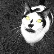 Brenda Whitney's photo