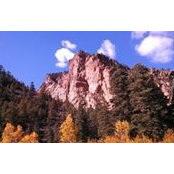 John Bivings's photo