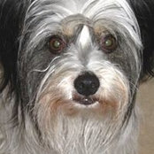 Ruth Pasch-Leach's photo