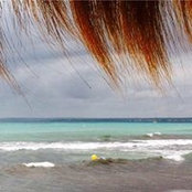 Alba Garcia's photo