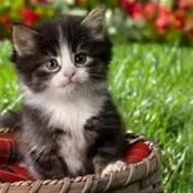 Lucretia Mitchell's photo