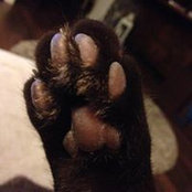 Sabrina Nellessen's photo