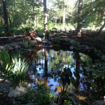 Lost loved one - Dedication Pond