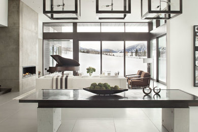 Example of a trendy living room design in Denver