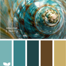 Shelled Teal