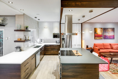 Kitchen - contemporary kitchen idea in Montreal