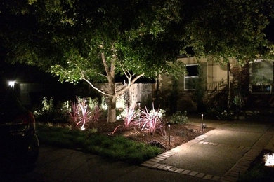 Landscape Lighting Residence Sacramento