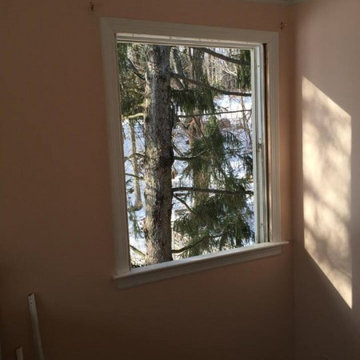 Replacement Windows