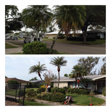 Clean Up and Flagstone Walkway
