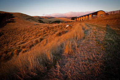 The Tussocks
