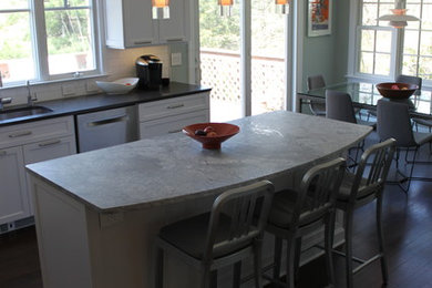 Kitchen - transitional kitchen idea in New York