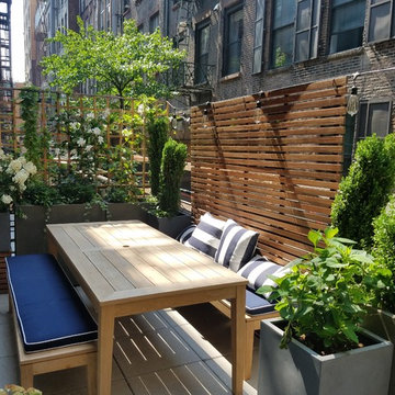 Tribeca Terrace