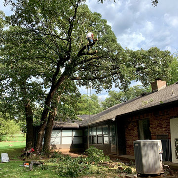 Hazardous Tree Removal