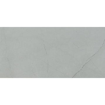 MSI NSAN1224P Sande - 12" x 24" Rectangle Floor Tile - Polished - Ivory
