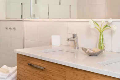 Bathroom - contemporary bathroom idea in Boston