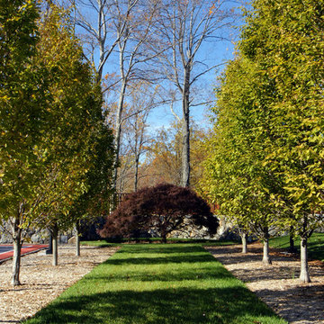 Recreation Area