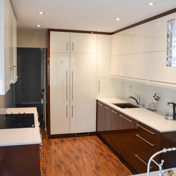 Aurora Project - Modern Kitchen