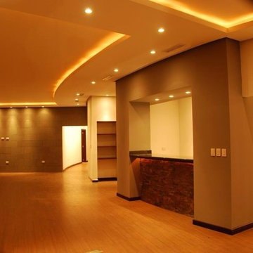 Curved House - Casa Curva