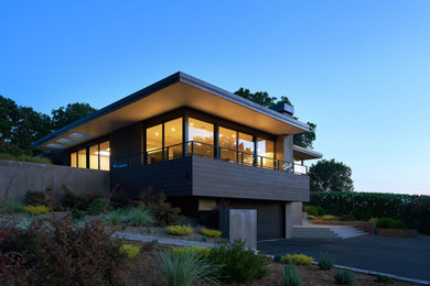 Modelo de fachada de casa marrón retro grande de una planta con revestimiento de estuco, tejado plano y techo verde