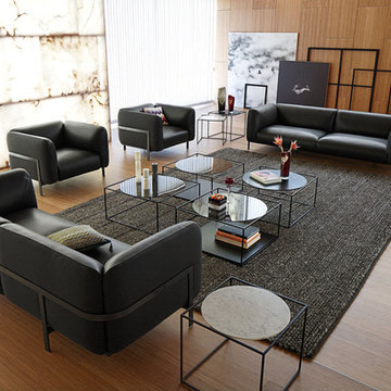 Living Room Projects