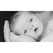 Annie Lehrer's photo