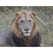 Samantha Snelling's photo