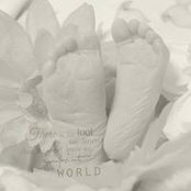 Melissa Stacey's photo