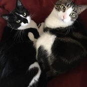 Terri Taylor-Bouges's photo