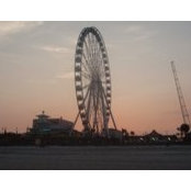 Libi Brown's photo