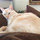 linda_murphy7506951
