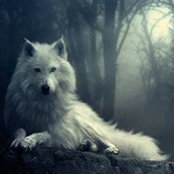 Ruthanne Tremblay's photo
