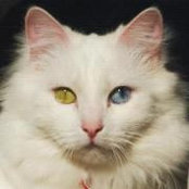 Sharon Lockwood's photo