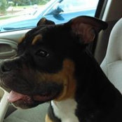 Brandy Felts's photo