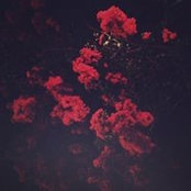 Ard Nas's photo